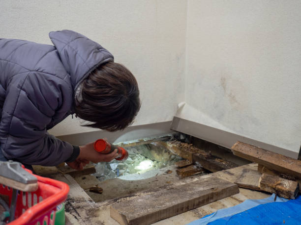 Best Real Estate Mold Inspection  in Carlisle Rockledge, AL
