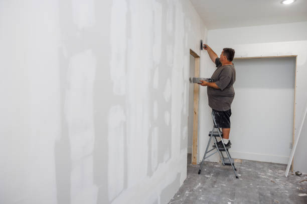 Best Basement Mold Removal  in Carlisle Rockledge, AL