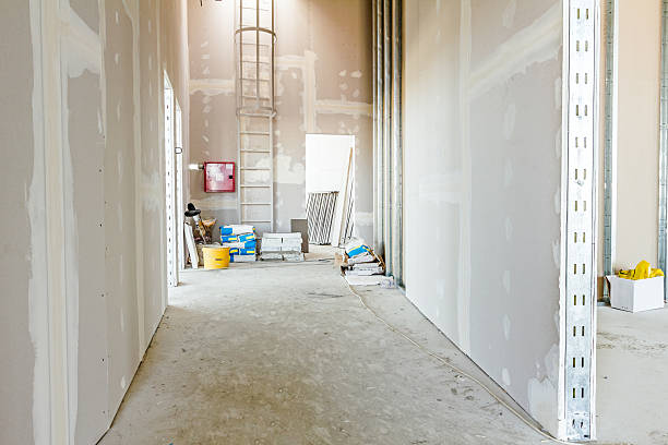 Best Flood Damage  in Carlisle Rockledge, AL